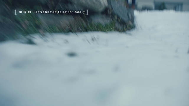 Video Reference: Snow, Winter, Geological phenomenon, Freezing, Tree, Sky, Blizzard, Winter storm, Ice