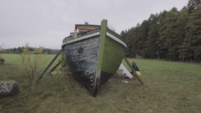 Video Reference: Grass, Vehicle