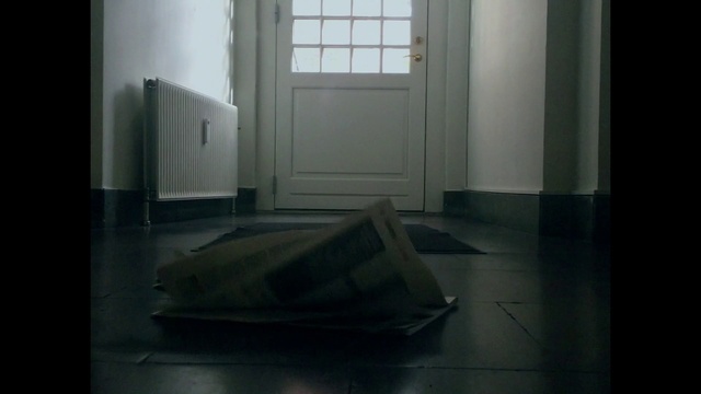 Video Reference: Floor, Black, Hardwood, Light, Flooring, Daylighting, Room, Window, Wood, Furniture