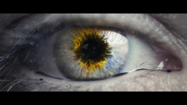 Video Reference: Iris, Eye, Close-up, Organ, Macro photography, Eyelash, Photography, Human body, Organism, Stock photography