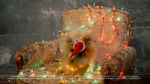 Video Reference: organism