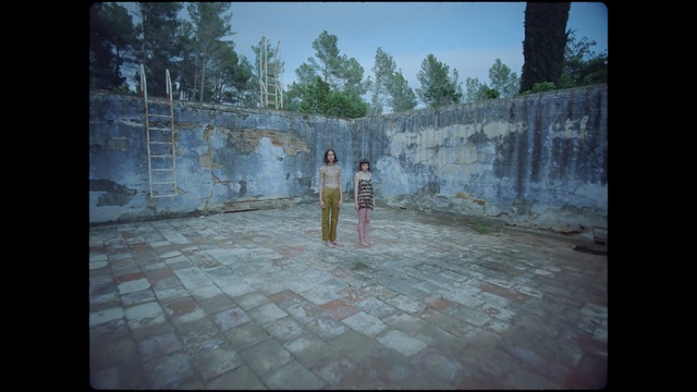 Video Reference: Photograph, Wall, Snapshot, Biome, Tree, Screenshot, Floor, Photography, Land lot, Landscape, Person