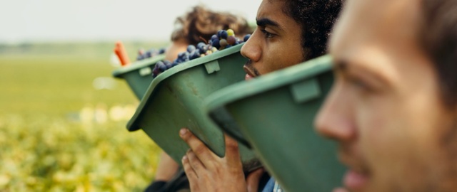 Video Reference: Photography, Student, Job