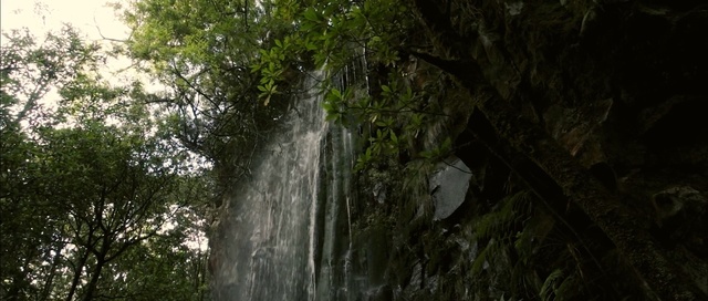 Video Reference: waterfall, nature, water, body of water, vegetation, nature reserve, tree, watercourse, water feature, rainforest