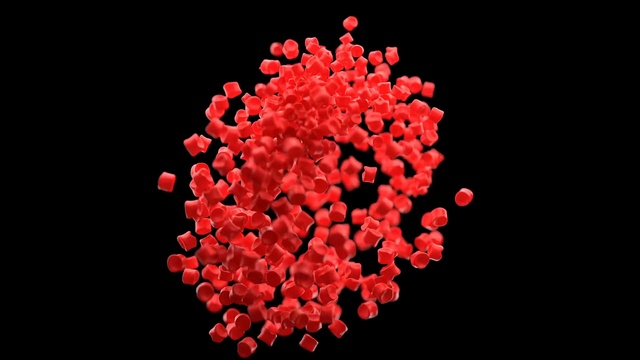 Video Reference: Red, Heart, Organism, Valentine day, Flower, Animal, Plant