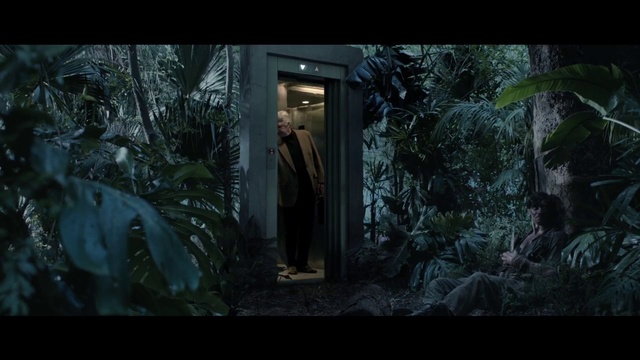 Video Reference: Nature, Natural environment, Vegetation, Tree, Forest, Jungle, Darkness, Biome, Woodland, Rainforest