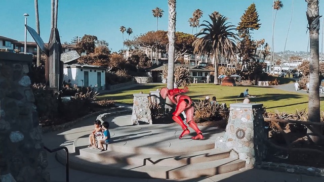 Video Reference: tree, recreation, plant, fun