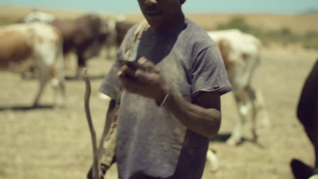 Video Reference: Herder, Adaptation, Herd, Bovine, Camel, Landscape, Goatherd, Livestock, Person