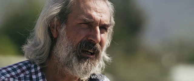 Video Reference: Hair, Facial hair, Beard, Moustache, Human, Wrinkle, Elder