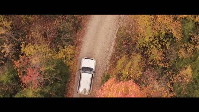 Video Reference: Nature, Leaf, Tree, Natural environment, Atmospheric phenomenon, Wilderness, Morning, World rally championship, Sunlight, Photography