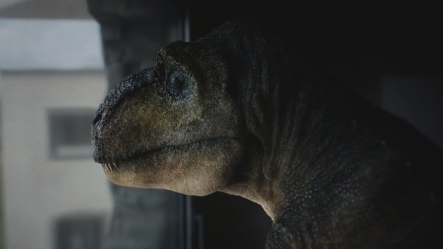 Video Reference: eye, dinosaur, snout, organism, darkness