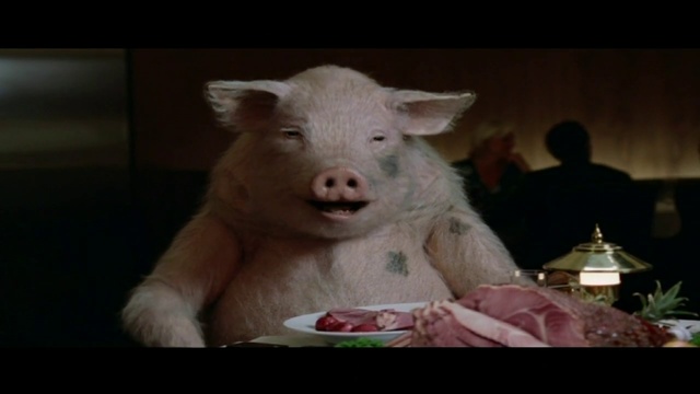 Video Reference: Mammal, Domestic pig, Vertebrate, Suidae, Nose, Snout, Head, Skin, Livestock, Fur