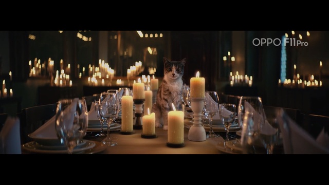 Video Reference: Lighting, Candle, Rehearsal dinner, Centrepiece, Function hall, Restaurant, Ceremony, Event, Photography, Interior design, Person