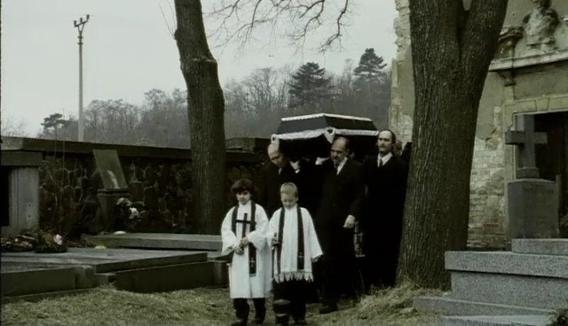 Video Reference: vehicle, cemetery, tree, car, funeral, sedan, Person