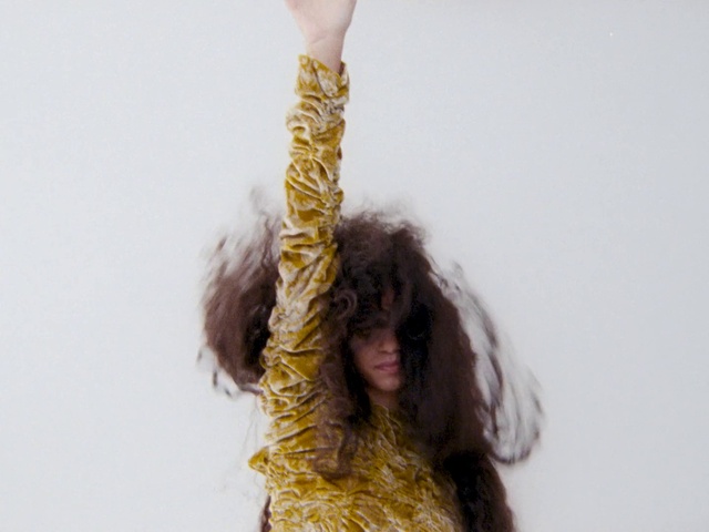 Video Reference: Hair, Yellow, Long hair, Hairstyle, Brown hair, Costume accessory