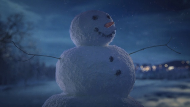 Video Reference: snowman, sky, snow, freezing, atmosphere, daytime, arctic, winter, ice, water, Person