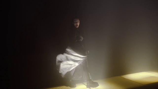 Video Reference: Flash photography, Art, Tints and shades, Performing arts, Event, Darkness, Sky, Entertainment, Sitting, Visual arts