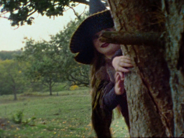 Video Reference: Tree, Grass, Adaptation, Plant, Photography, Trunk, Forest