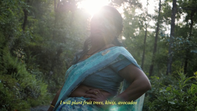 Video Reference: People in nature, Nature, Photograph, Jungle, Natural environment, Forest, Vegetation, Wilderness, Sunlight, Morning