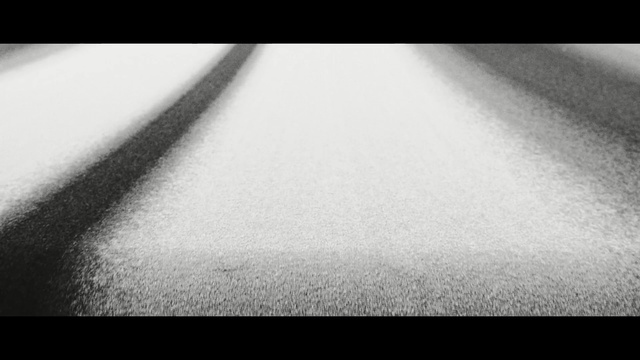 Video Reference: white, black, black and white, photograph, monochrome photography, photography, atmosphere, close up, monochrome, sky