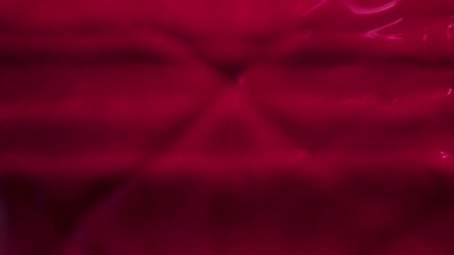 Video Reference: Red, Pink, Maroon, Black, Magenta, Purple, Violet, Petal, Pattern, Textile