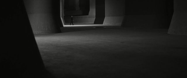 Video Reference: white, black, photograph, black and white, darkness, atmosphere, monochrome photography, light, mode of transport, photography, Person