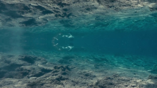 Video Reference: Blue, Water, Sky, Turquoise, Sea, Aqua, Azure, Underwater, Ocean, Cloud