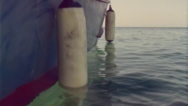 Video Reference: water, leg, sea, vacation, foot, arm, joint, hand, fun, girl