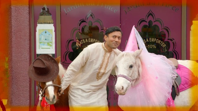 Video Reference: Horse, Pink, Fun, Mane, Mare, Livestock, Fictional character, Unicorn, Bridle, Pack animal, Person