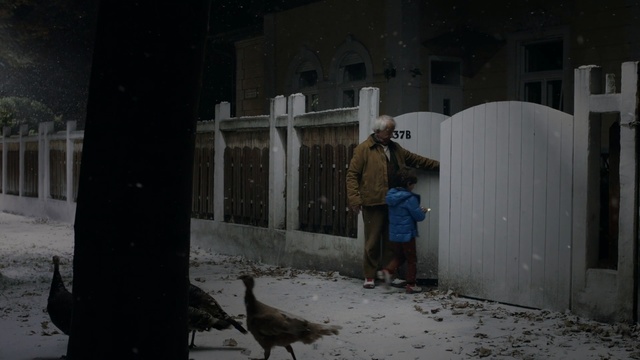 Video Reference: Adaptation, Night, Darkness, Street, Bird, Winter, Person