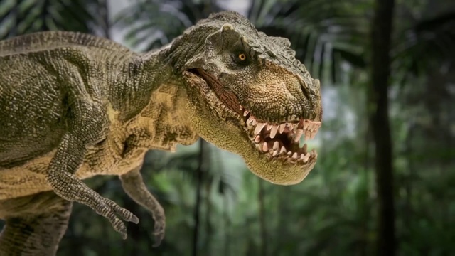 Video Reference: Dinosaur, Velociraptor, Tyrannosaurus, Terrestrial animal, Extinction, Adaptation, Organism, Wildlife, Plant, Jaw
