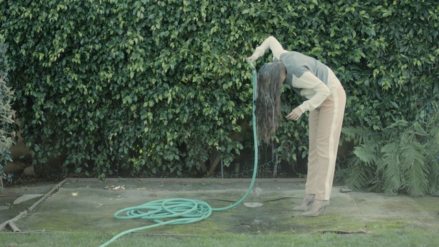 Video Reference: tree, plant, grass, sculpture, garden, shrub, yard