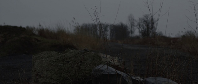 Video Reference: Nature, Black, Sky, Atmospheric phenomenon, Atmosphere, Tree, Morning, Branch, Wildlife, Grass family