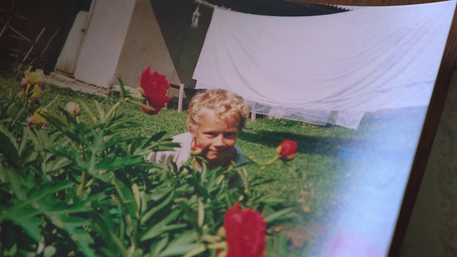 Video Reference: Flower, Plant, Grass, Room, Textile, Child, Petal, Tulip, Person