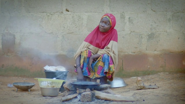 Video Reference: Adaptation, Temple, Art