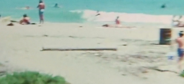 Video Reference: beach, sand, shore, vacation, coastal and oceanic landforms, leisure, summer, tourism, recreation, sea