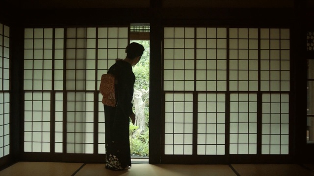 Video Reference: Architecture, Standing, Shōji, Door, Line, Daylighting, Window, Square, Tints and shades, Symmetry