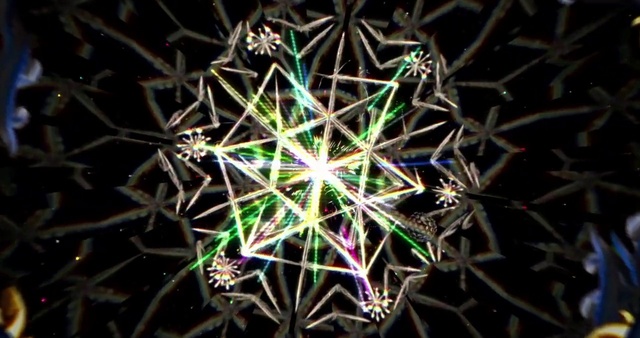 Video Reference: Plant, Fractal art, Kaleidoscope, Symmetry
