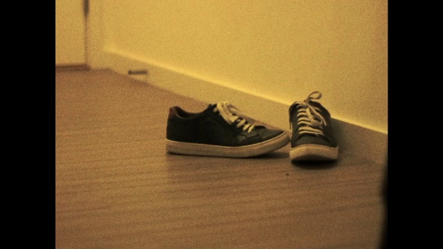 Video Reference: Shoe, Footwear, Walking shoe, Outdoor shoe, Sneakers, Brown, Athletic shoe, Flooring, Skate shoe, Floor