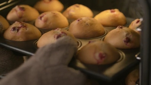 Video Reference: food