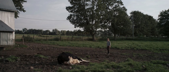 Video Reference: tree, field, farm, rural area, grass, pasture, sky, plant, land lot, landscape