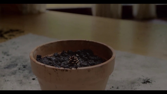 Video Reference: Soil, Flowerpot, Houseplant, Plant, Food