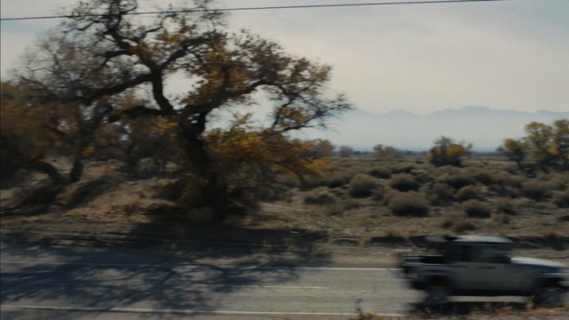 Video Reference: tree, sky, landscape, plant, shrubland, plant community, ecoregion, vehicle, safari