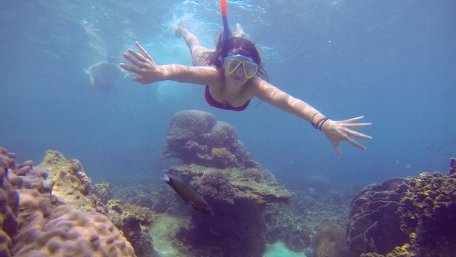 Video Reference: Underwater, Water, Snorkeling, Swimming, Natural environment, Marine biology, Reef, Recreation, Organism, Freediving