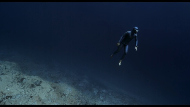 Video Reference: underwater, underwater diving, atmosphere, freediving, water, sky, extreme sport, marine biology, diving, organism