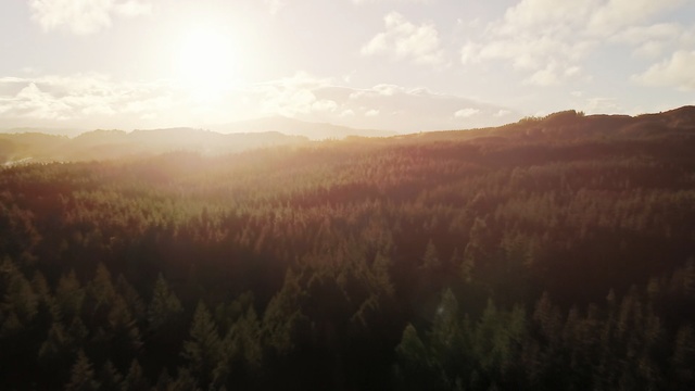 Video Reference: Sky, Nature, Atmospheric phenomenon, Morning, Natural landscape, Cloud, Sunlight, Light, Natural environment, Wilderness