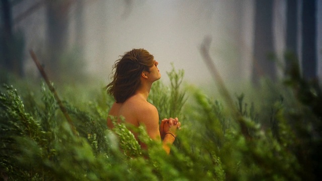 Video Reference: People in nature, Nature, Natural environment, Grass, Grass family, Photography, Organism, Tree, Sunlight, Plant