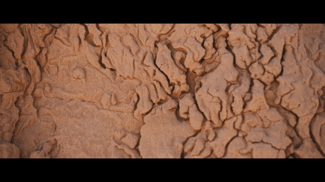 Video Reference: soil, wood, geology, rock, formation, organism, fault, carving, clay, pattern