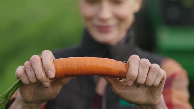 Video Reference: Cervelat, Sausage, Frankfurter würstchen, Thuringian sausage, Vienna sausage, Bockwurst, Knackwurst, Bratwurst, Kielbasa, Food