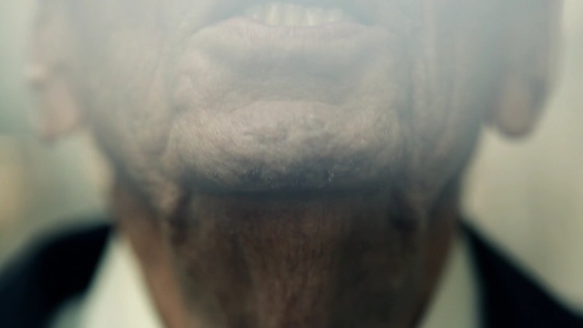 Video Reference: nose, facial hair, chin, close up, neck, snout, mouth, eye, jaw, ear